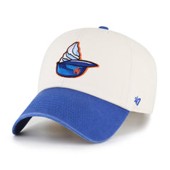 New York Mets Ice Cream '47 Clean Up