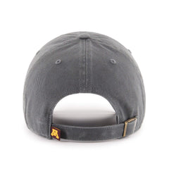 MINNESOTA GOLDEN GOPHERS '47 CLEAN UP