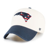 NEW ENGLAND PATRIOTS FLAG FILL LOOP '47 CLEAN UP