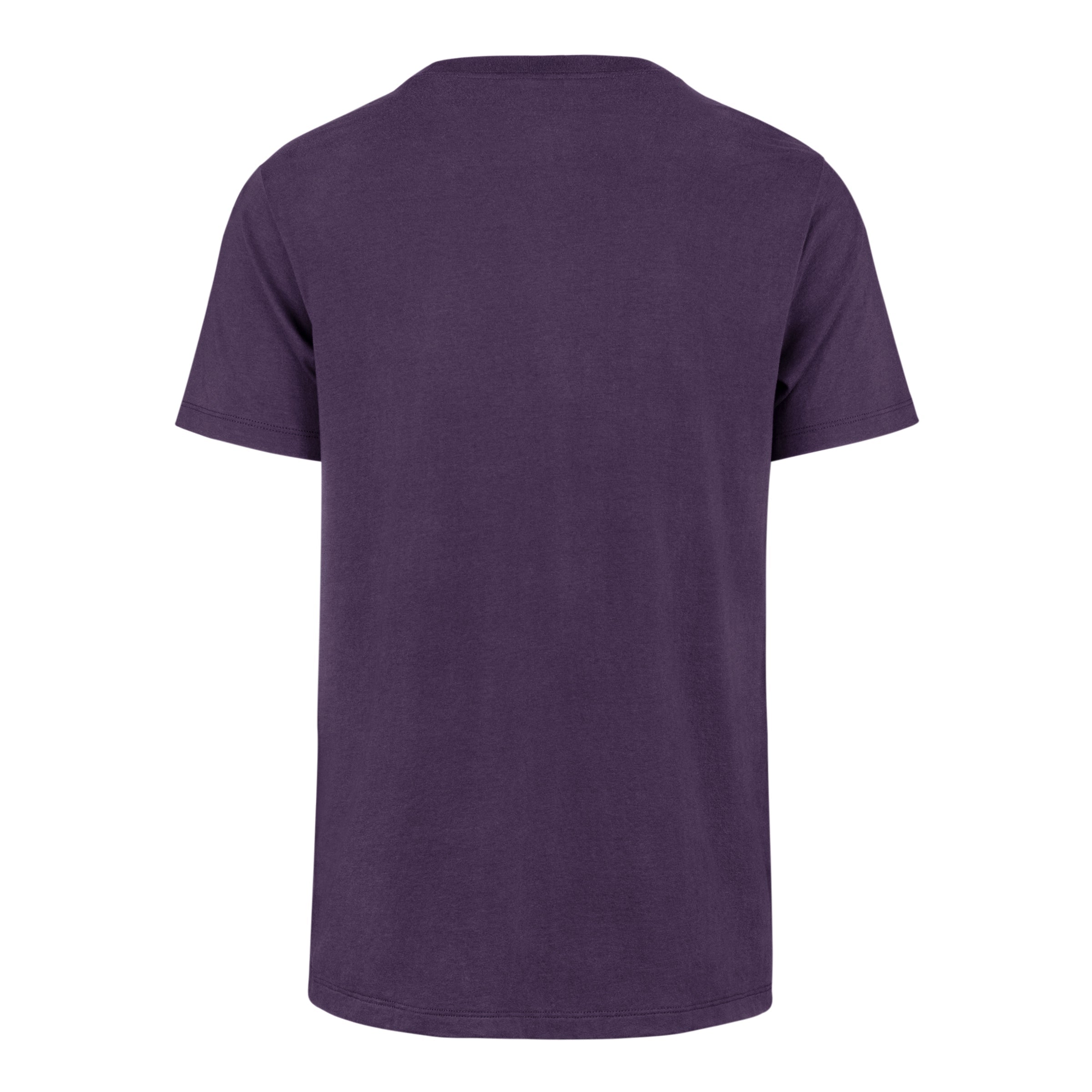 CHARLOTTE HORNETS PREMIER '47 FRANKLIN TEE