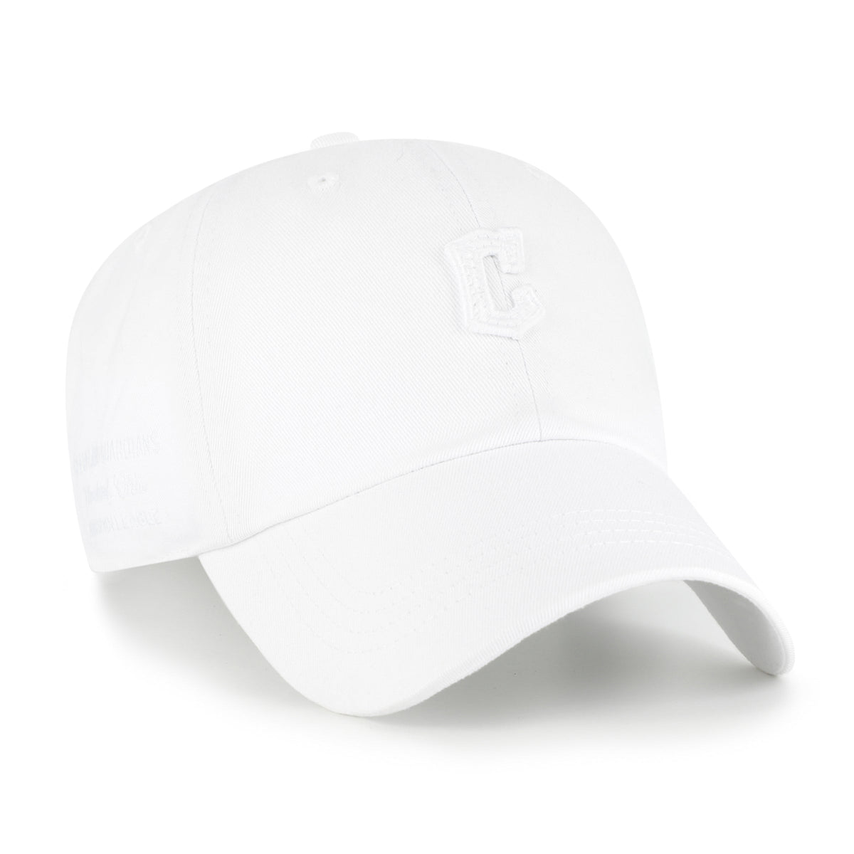 CLEVELAND GUARDIANS TONAL CONTEMPORARY BASICS '47 CLEAN UP