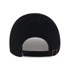 COLORADO ROCKIES 250th '47 CLEAN UP