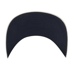 MICHIGAN WOLVERINES VINTAGE ROSCOE '47 HITCH